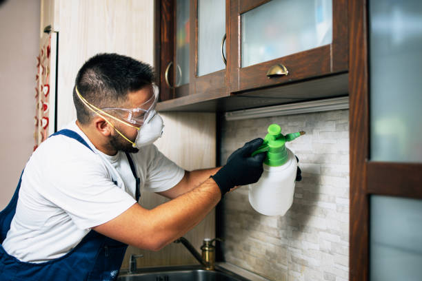 Pest Prevention Services in Fort Lauderdale, FL