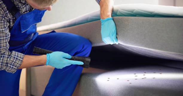 Best Affordable Pest Control Services  in Fort Lauderdale, FL